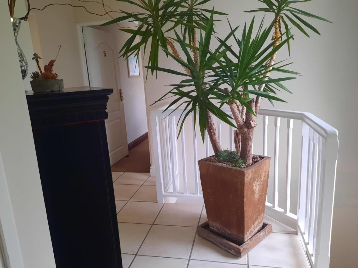 6 On Protea Bed & Breakfast Knysna Luaran gambar